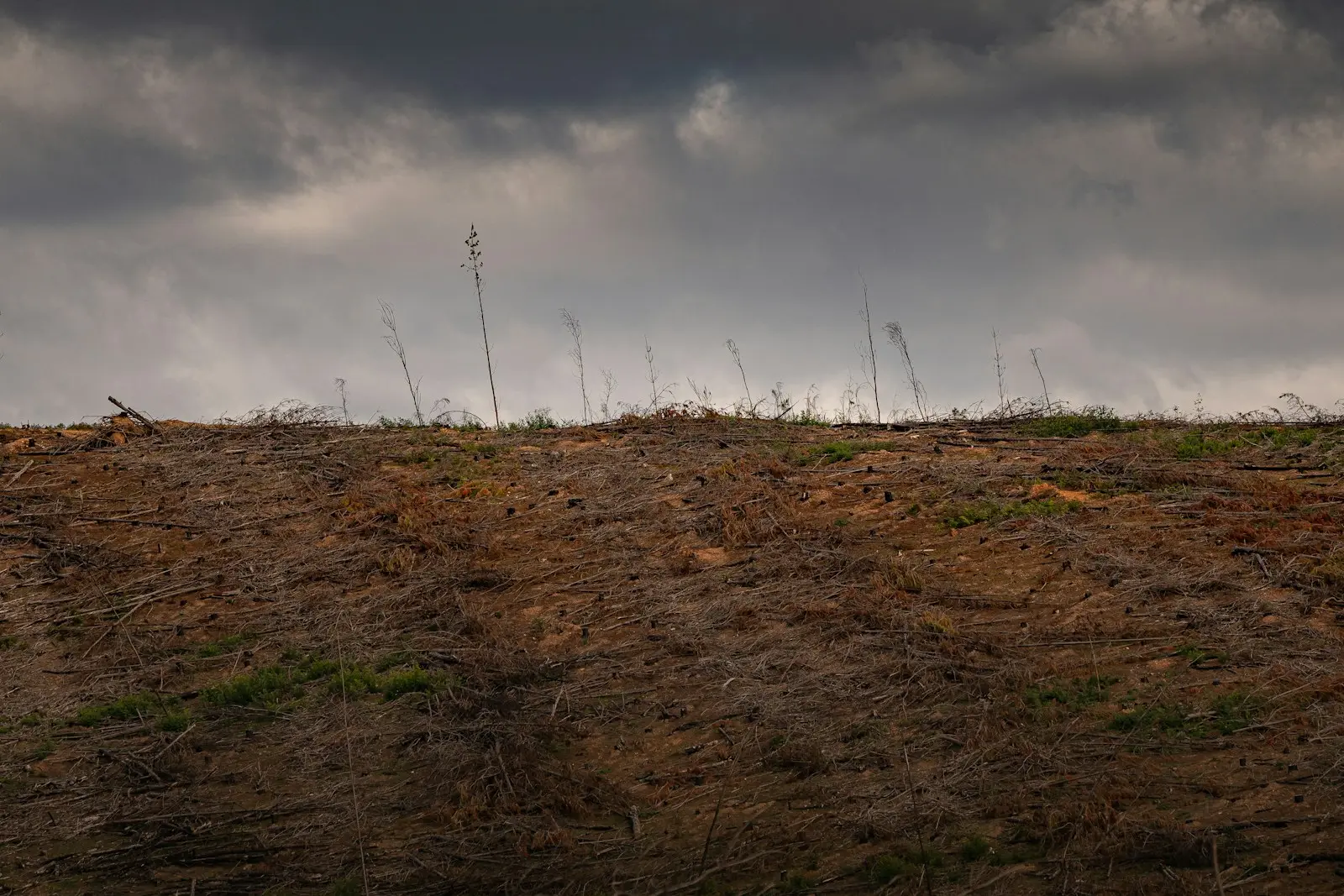 Terreno con frente a carretera